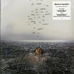 Shawn Mendes-Wonder (NEW)