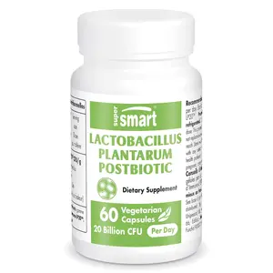 SuperSmart - Lactobacillus Plantarum PostBiotic 20 Billion CFU per Day (Immuno-LP20) - Heat-Treated Probiotic Supplement | Non-GMO & Gluten Free - 60 Vegetarian Capsules