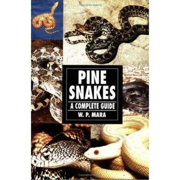 USED-Pine Snakes: A Complete Guide by Mara (Paperback)