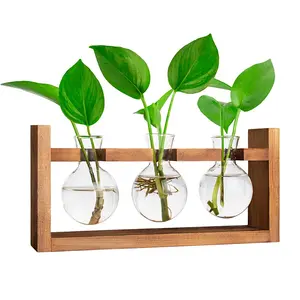 Plant Propagation Station with Wooden Stand, Wall Hanging Glass Planter Tabletop Terrarium Bulb Vase for Hydroponics Plants Home Office Decor