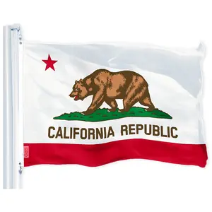 California State Flag 150D Printed Polyester 3x5 Ft