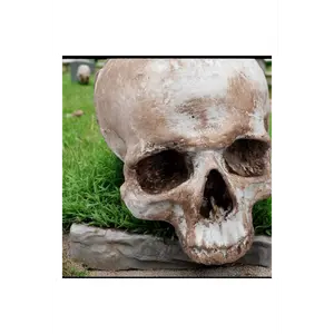 Foam Half Skull w/o Bottom Jaw