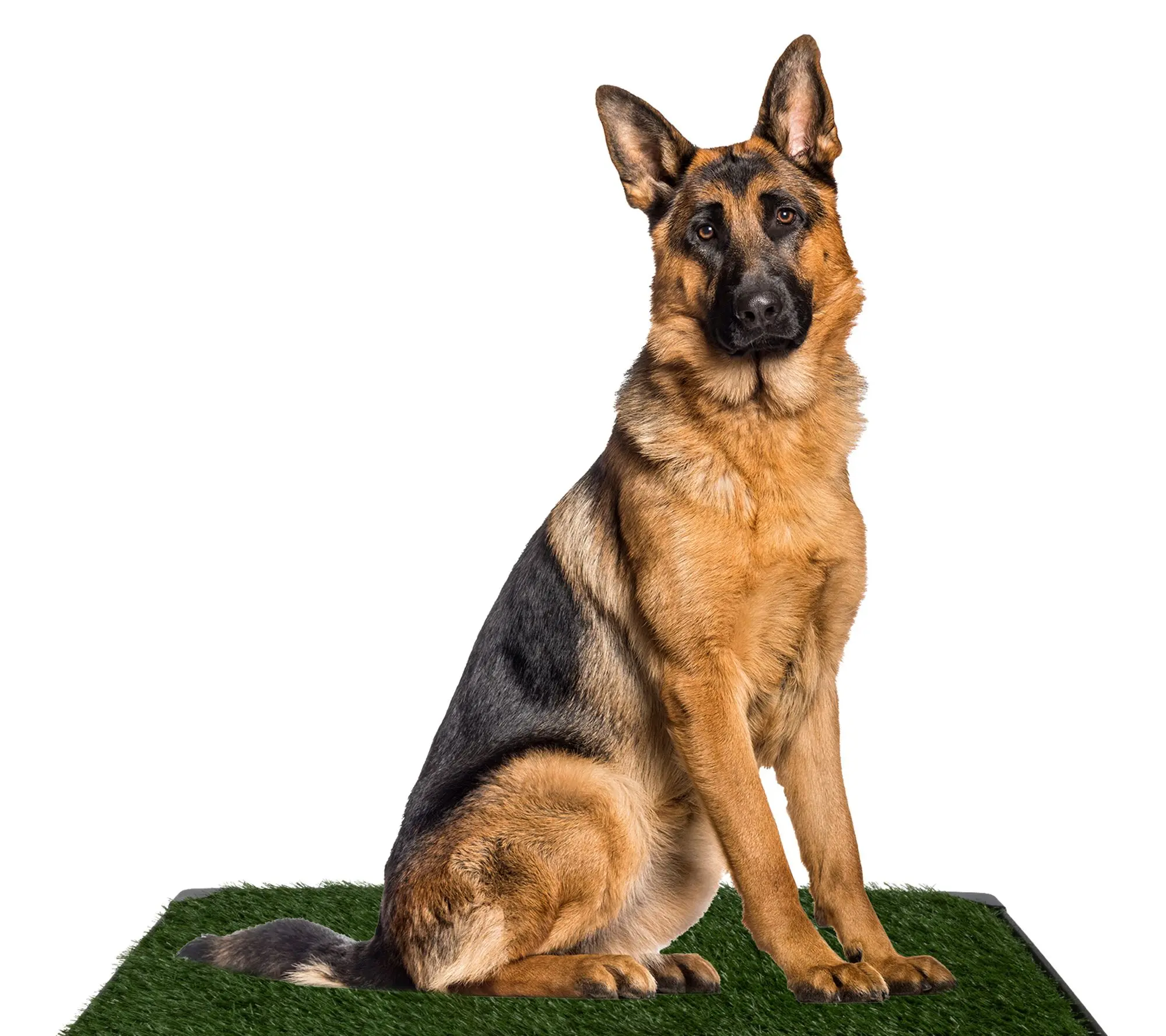 Petmaker Artificial Grass Reusable Puppy Peed Pad 35.5X23.5