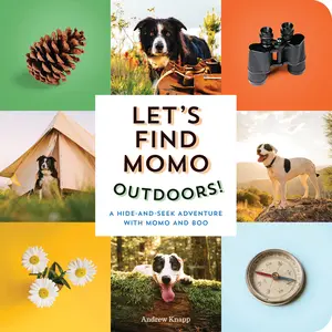 USED-Let's Find Momo Outdoors!: A Hide-And-Seek Adventure with Momo and Boo by Knapp, Andrew (Board book)