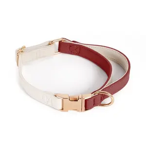 Elegant Grip Leather Collar