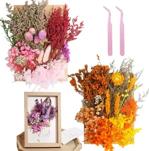 Real Dried Flowers, Natural Dry Flowers,Mixed Natural Pressed Dried Flowers,Real Dry Florals for Resin Crafts, Candle Making, DIY Art Projects (Multicolor Orange)