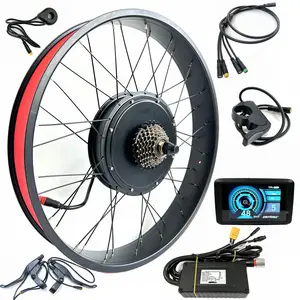 48V2000W Fat Hub Motor Kit for Electric Bicycle Fat Bike 26x4.0 inch Rear Drive with TFT Color Display Snow E-Bike Kit Waterproof Engine