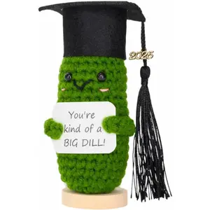 Graduation Gifts 2026 Big Dill Pickle with Stand Handmade Crochet Grad Gift for High School College University Nurses PhD Gifts for Her