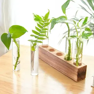 Glass Test Tube Plant Propagation Station with Wood Rack, Thick Borosilicate Glass Hydroponic Container for Indoor Plants, Hydroponic Planters