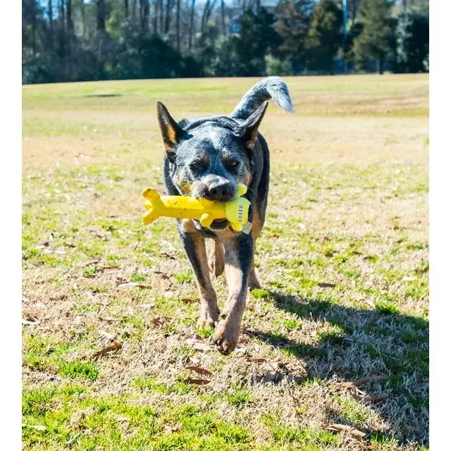 Smiling Dog Loofa Pals Latex Plush Dog Toy, Banana Shaped - TikTok
