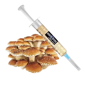 Organic Chestnut Mushroom Liquid Culture Syringe