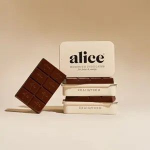 Brainstorm Functional Mushroom Chocolates