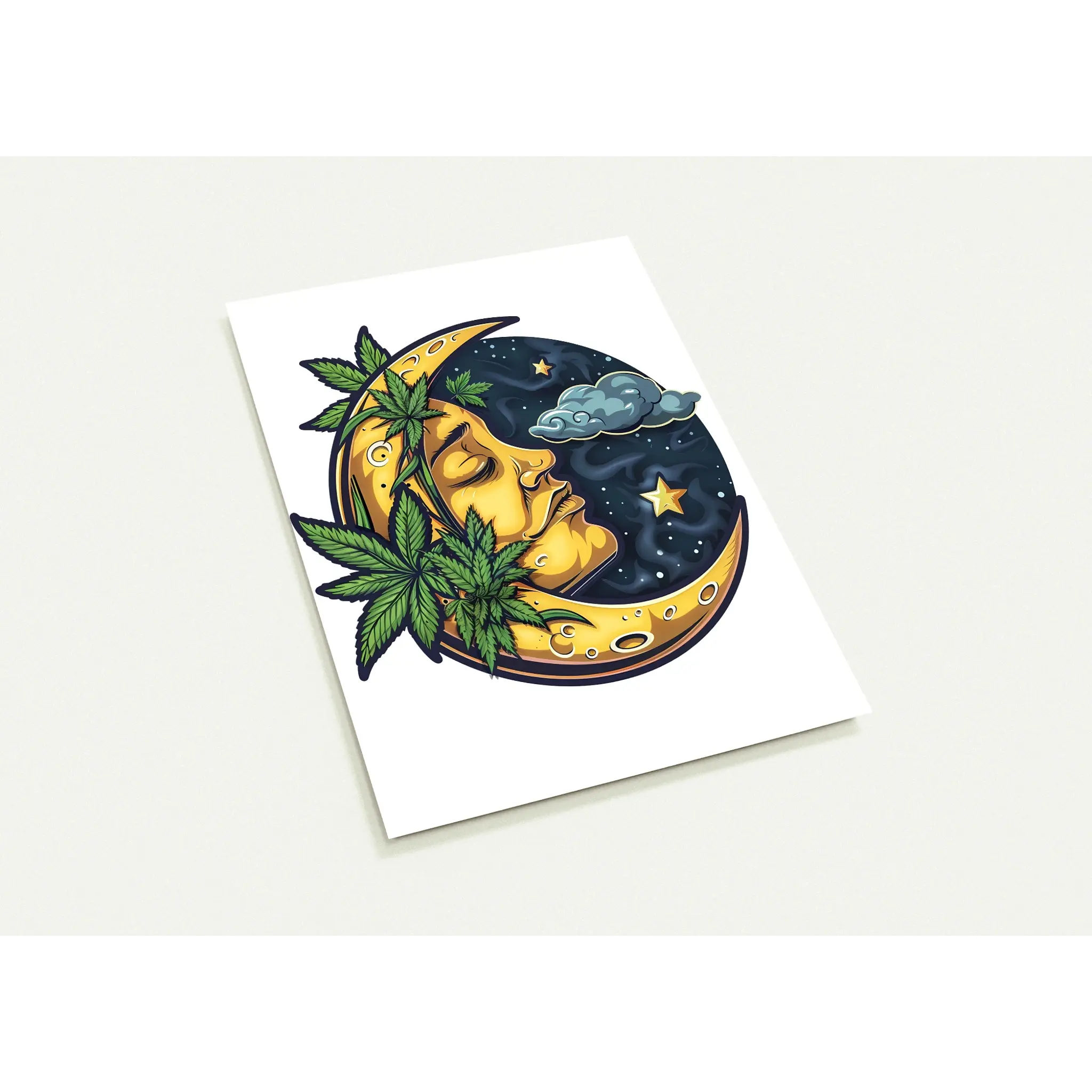 The Toasted Moon Pack of 10 Post Cards (US & CA)