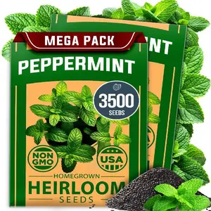Peppermint Seeds 2 Pack (Mentha × piperita) – 4,740 Non-GMO, Heirloom Mint Seeds for Planting. Grow Peppermint Plants in Your Kitchen Garden or Plant Them Outdoors for a Lush Herb Garden.