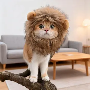 Pet headgear, cat rabbit, small dog, dog hat, pet cute and funny headgear pullover mane gift tiktokshopblackfriday Cat Bat Costume Headwear