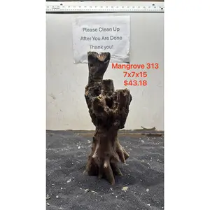 Mangrove Tree Stump 313