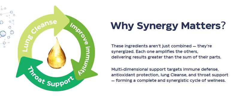 Liposomal Respiratory Relief Drops - Mullein Drops for Lungs with Elderberry, Licorice Root, and Slippery Elm Bark - Support Lung Cleanse and Mucus Relief - Suitable for Kids and Adults (1Pack)