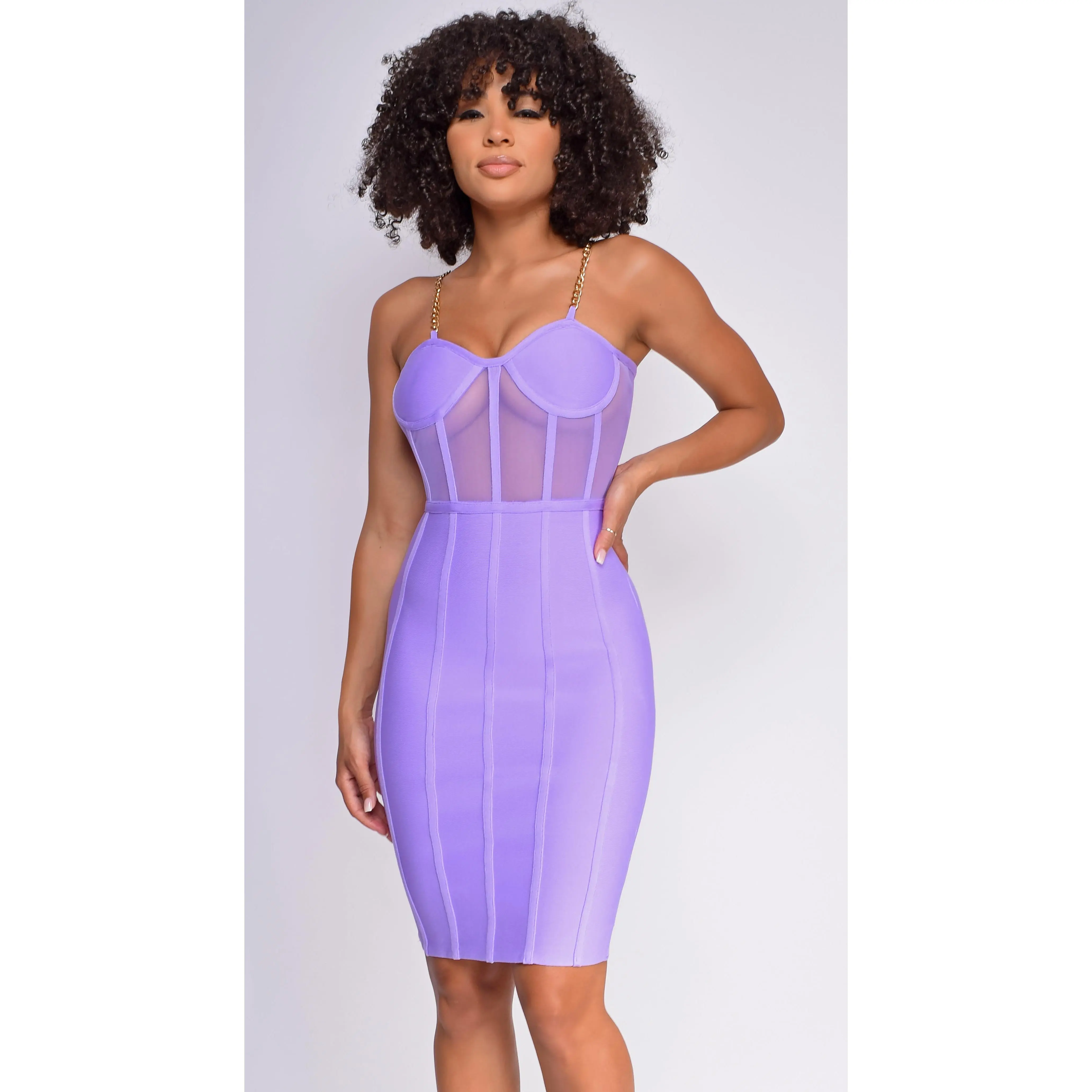 Lorelei Purple Bandage Bustier Mesh Midi dress