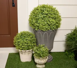 Martha Stewart Set of 3 Faux Boxwood Spheres