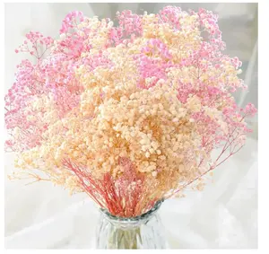 Baby's Breath Bulk Bouquet, Real Natural Dried Gypsophila Flowers for Resin, Home Vase Decor, Card DIY, Party, Wedding Flower Wreaths