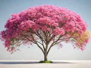 Pink Shower Tree Seeds for Planting - 10 Seeds