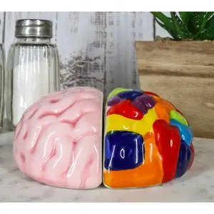 Ebros Right And Left Brains Magnetic Ceramic Salt Pepper Shakers Set 3.5"L