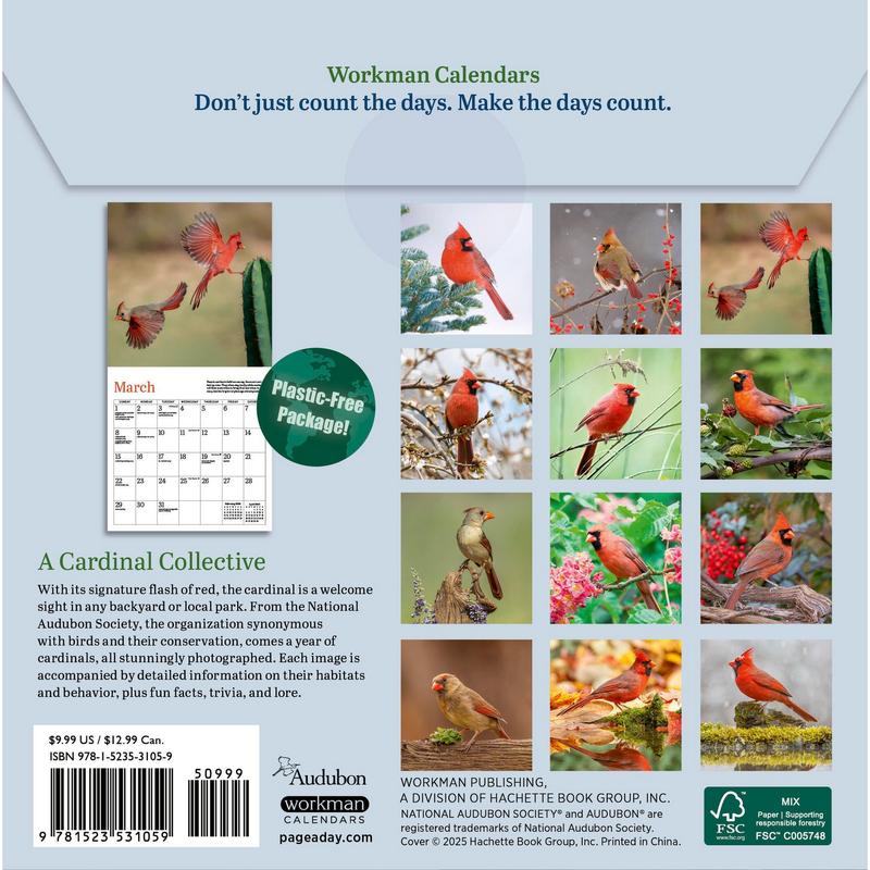 Audubon Cardinals Mini Wall Calendar 2026