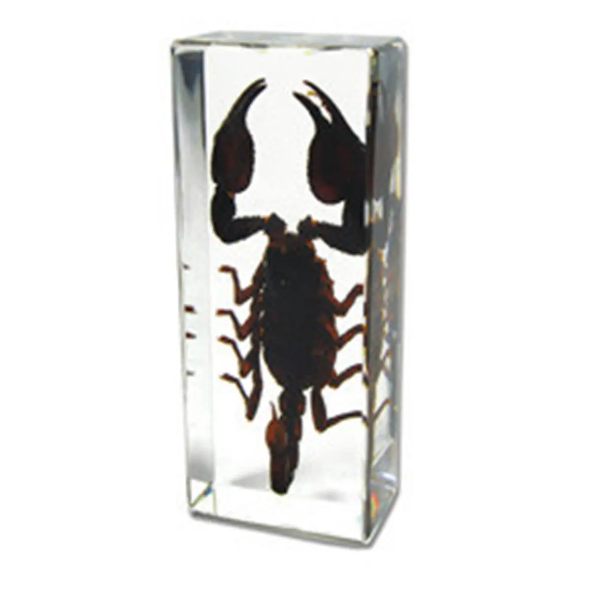 ED SPELDY EAST Large Black Scorpion Motif Decorative Weight Statue - Desk Accessory, Home Office Decor, Artistic Decorative Figurines, Animal Decorations Figurines, Unique Gift