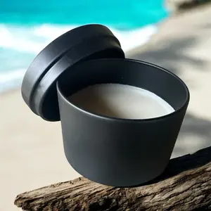 Berry Driftwood Scented 4 oz Wickless Wax Warmer Melt Candle Decor with Unique Berry Scent