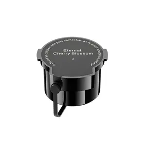 Explosive Mist Scenic Car Aromatherapy Diffuser Special Spray Fragrance Refill for Car Interior