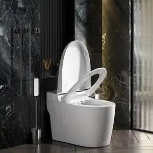 One Piece Bidet Toilet for Bathrooms Smart Bidet Toilet with Warm Air Dryer Heated Seat LED Night Light Auto Open/Close Toilet On-Site   RR