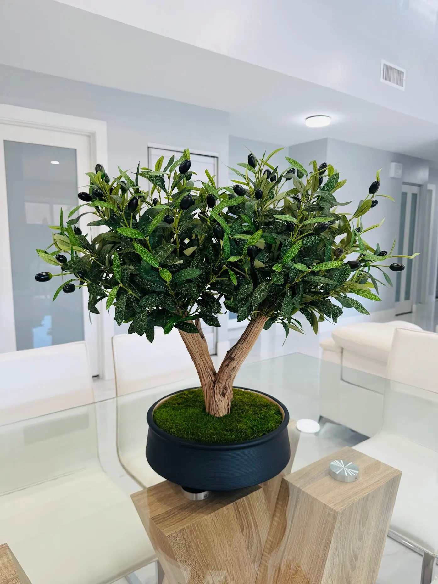 Bonsai Olive Tree in Real Wood - 26" Long x 24" High x 16" Wide - Zen & Sophisticated Decorative Accent for Living Rooms Offices or Studies