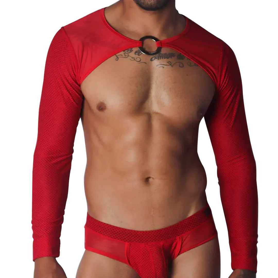 Evocative Red Harness