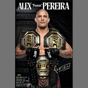 Alex Pereira UFC Champion Poster, MMA Fighter Wall Art Print Gym Room Decor Gift for Fans