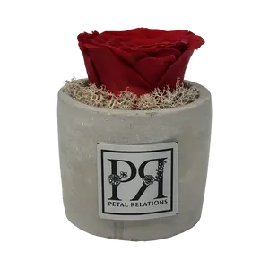 Forever Preserved Single Rose