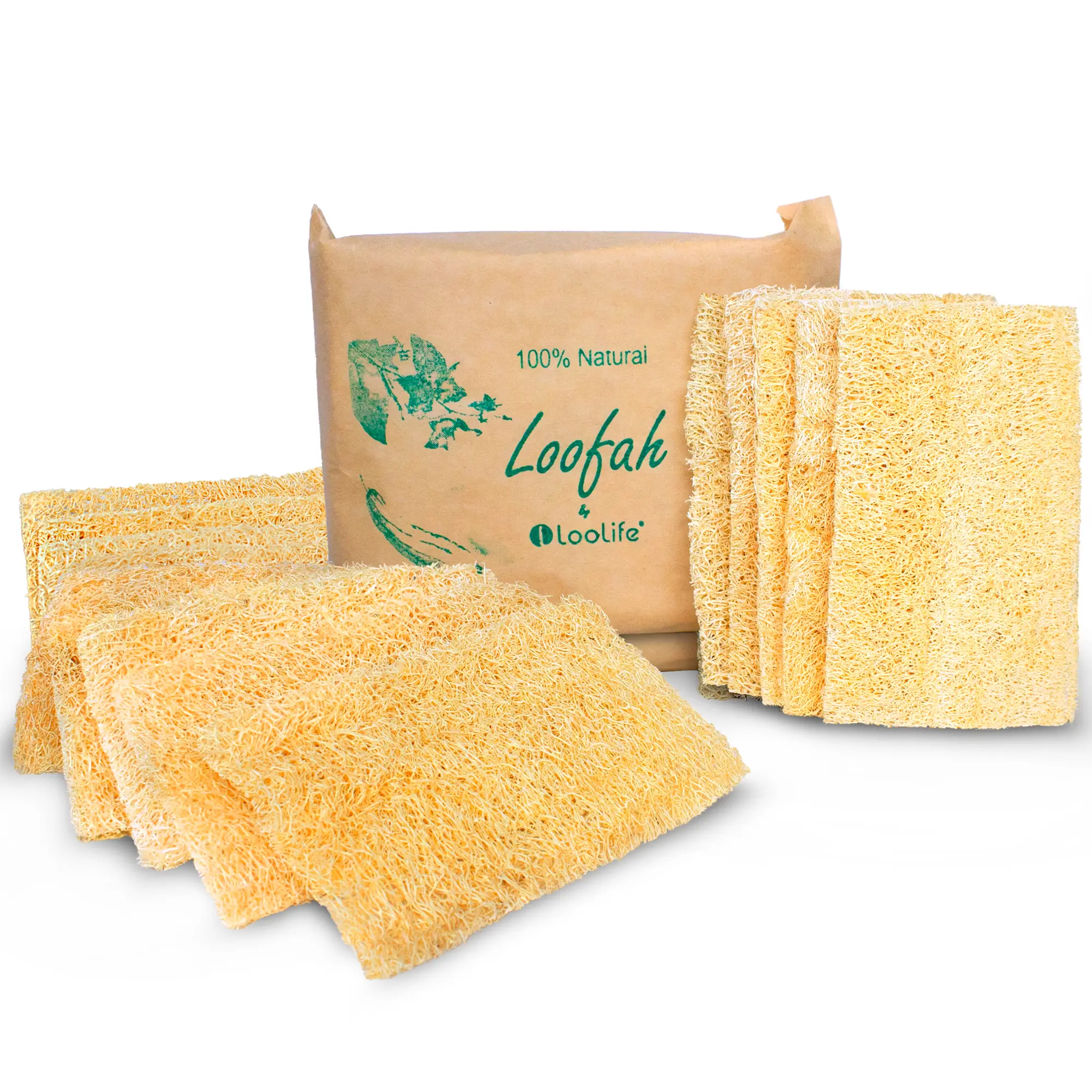 Natural Loofah Kitchen Sponge (XL - 10 Pack) - Natural Sponges for Dishes - Eco Friendly and Compostable Sponges - Plant Based Kitchen Dish Biodegradable Sponge