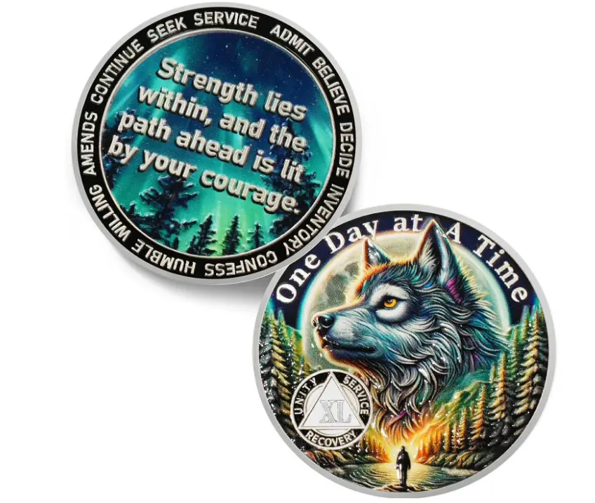 1-40 Year One Day At a Time 40 Year Sobriety Coin, Recovery Aurora Forest Wolf AA Coins, Addiction NA AA Chips & Medallions, Clean Living Milestone Gifts for Men Women | Home Decor, Lounge Accessories, Cool Room Decor, Men’s Room Decor