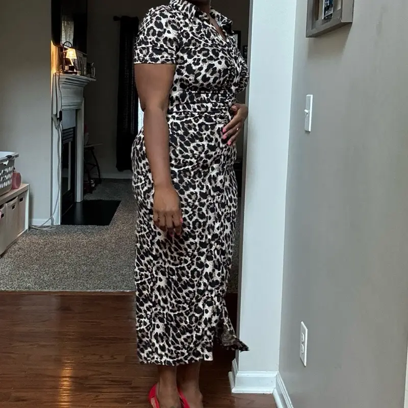 Button Down Cheetah Dress