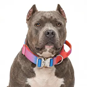Colorful Ombre Tactical Dog Collar for Pitbull American Bully Heavy Duty Pastel Gradient No Pull K9 Training Gear with Control Handle Quick Release Metal Buckle Soft Padded Adjustable Thick Webbing for Medium Large Dogs