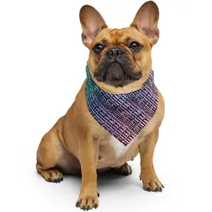 EQUALITY Bandana Head Scarf Black/White/Rainbow 1-Side Print | Anti-Trump Headband | Pride LGBTQ+ Human Rights Scarf | Pet PRIDE Bandanas | Protest Accessory