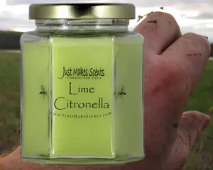 Lime Citronella Mosquito Repelling Candle (For INDOOR Use)