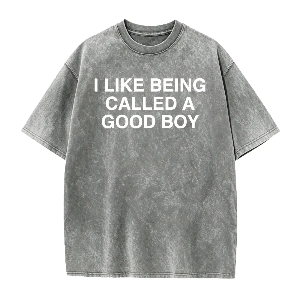 Good Boy Shirt, Funny Meme Shirt, Stupid Shirt, Dumb Shirt, Brain Rot Shirt, Embarrassing Shirt, Funny saying shirt, Bold Statement Shirt