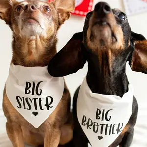 BIG SISTER & BIG BROTHER Pet Triangle Scarf – Soft Polyester Saliva Towel for Small/Medium Puppy Dogs Cats Adjustable Neck Gaiter White with Black Lettering Heart Design Playful Pet Neckwear