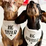 BIG SISTER & BIG BROTHER Pet Triangle Scarf – Cute Soft Polyester Saliva Towel for Small/Medium Puppy Dogs Cats Adjustable Neck Gaiter White with Black Lettering Heart Design Playful Pet Neckwear
