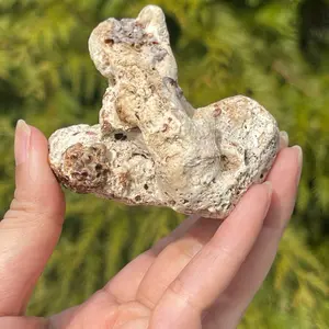 3” piece of agatized coral. Rare Stone – Organic Shape, Perfect for Display or Craft or Aquarium
