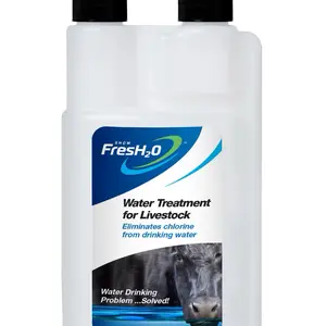 Fresh H2O: Your Water Solution