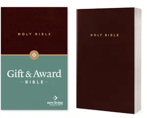 USED-Gift and Award Bible-Nlt by New Living Translation (Imitation Leather)