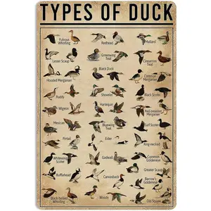 Duck Knowledge Metal Poster Type Of Duck Metal Tin Sign School Club Hunting Lodge Farmhouse Home Art Wall Decoration 16x12 Inch