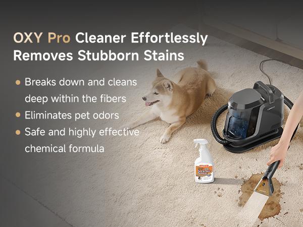 Uwant Steam Portable Carpet Cleaner , 18Kpa Powerful  Spot Cleaner Machine, Upholstery & Sofa Cleaner for Home，Car and Auto Detailer，Pet Stain Remover，Steam Vacuum