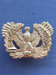 WWII US ARMY Warrant Officer Hat Insignia (2 prongs)